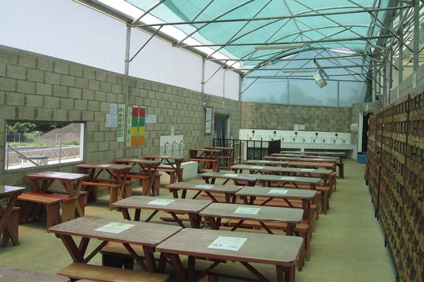 Dümmen Orange Upgrades Phytosanitary Standards On All Farms