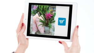 Social Media Marketing Trends to Track for 2022