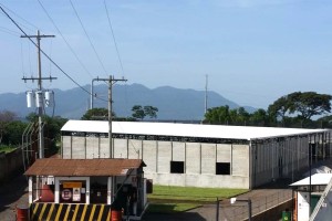 Dümmen Orange Upgrades Phytosanitary Standards On All Farms