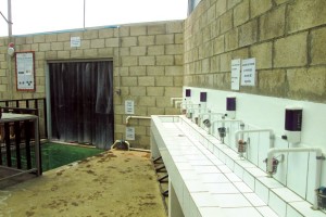 Dümmen Orange Upgrades Phytosanitary Standards On All Farms