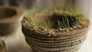 3D Printers Sprout Living Designs