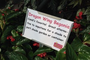 Let customers know if you love a plant.