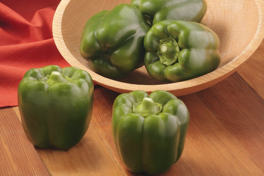 Bell Pepper ‘Bayonet’ (Syngenta Flowers)