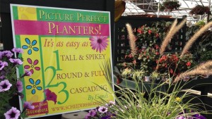 5 Big Ideas To Embrace Customers From A Small Garden Retailer