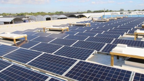 Costa Farms Ramps Up Sustainability Efforts With Solar Energy Investments