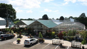 Connecticut Greenhouse Facing Local Fight Over Landscaping