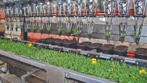 Integration Key To Regulation Compliance For  Specialized Crops Like Cannabis