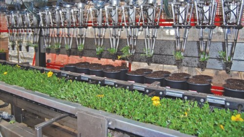 Integration Key To Regulation Compliance For  Specialized Crops Like Cannabis