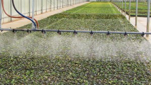 Farwest Show Educational Lineup Digs Into Plant Production Issues