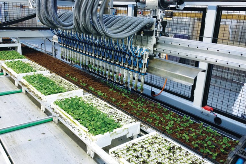 PC-31 Transplanter (Visser)