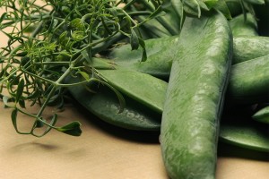 Pea ‘Masterpiece’ (Burpee Home Gardens)