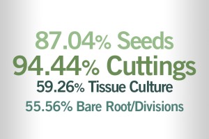 What percentage of the young plants (plugs and liners) you produce are from seeds, from cuttings, etc.?