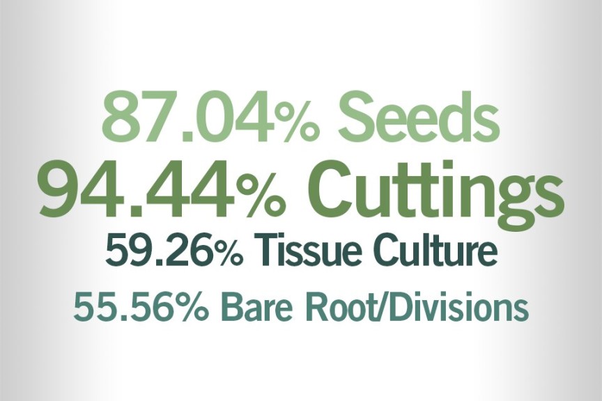 What percentage of the young plants (plugs and liners) you produce are from seeds, from cuttings, etc.?