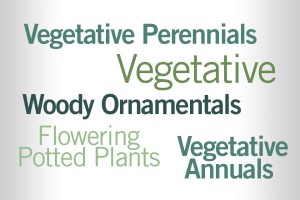 In which crop categories are you seeing the most gains?