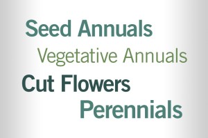 In which crop categories are you seeing the most declines?