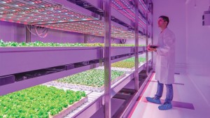 Michigan State To Host Horticulture Lighting Symposium In May