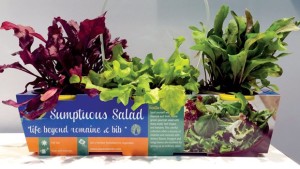 MasterTag Integrates Technology Into Plant Tags And Packaging