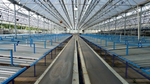 How Dallas Johnson Greenhouses Is Simplifying Shipping