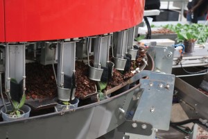 Orchid Production At Green Circle Growers