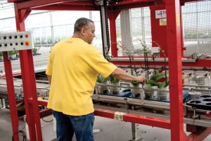 Orchid Production At Green Circle Growers