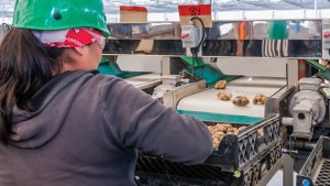 Why Your Company’s Culture of Sanitation Starts at the Top