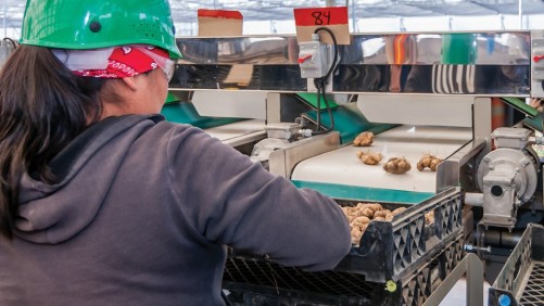 Why Your Company’s Culture of Sanitation Starts at the Top