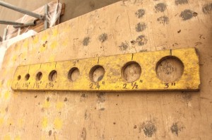 Golden State Bulb Growers’ Invests In New Grading Line