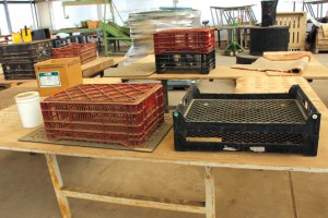 Golden State Bulb Growers’ Invests In New Grading Line