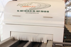 Golden State Bulb Growers’ Invests In New Grading Line