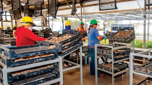 Senator Thom Tillis Says eVerify, Border Security Key to Successful Immigration Reform