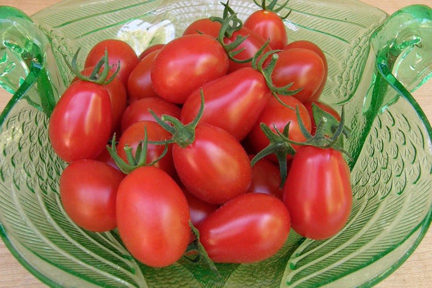 Italian Grape Tomato ‘Pandorino’ (Renee’s Garden)