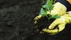 A Greenhouse Guide to Safe Handling of Crop Protection Materials