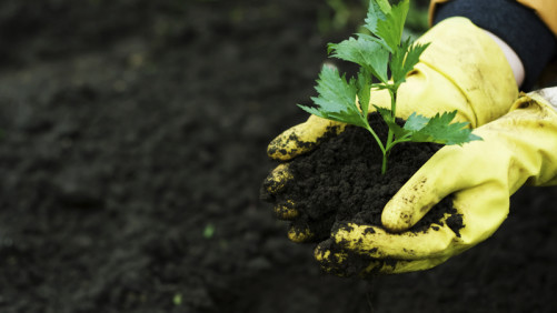 A Greenhouse Guide to Safe Handling of Crop Protection Materials