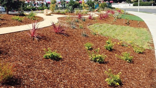 Drought Has Triggered A New Normal For The California Landscape