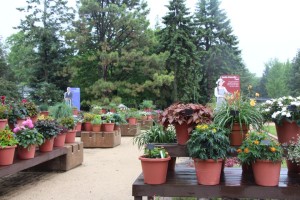 Reflect Customers Back To Them