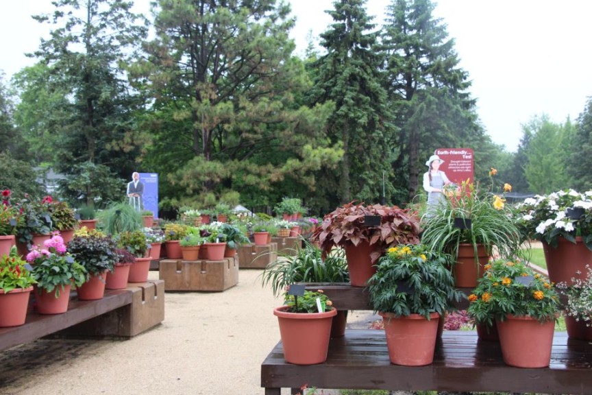 Reflect Customers Back To Them