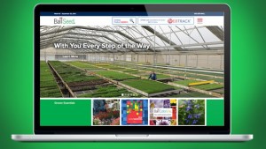 BallSeed.com Goes Mobile-Friendly