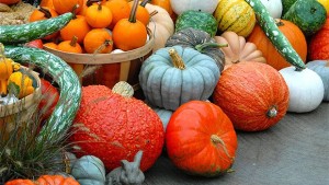 How To Display And Sell More Pumpkins