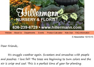 Hillermann Newsletter