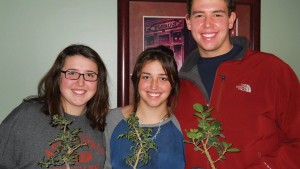 Why Houseplants Continue to Gain Steam