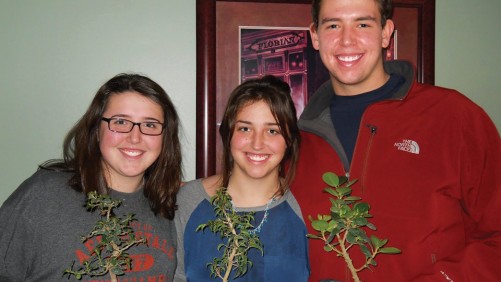 Why Houseplants Continue to Gain Steam