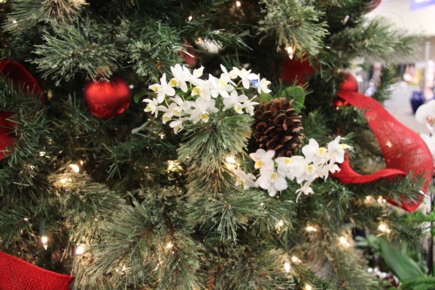 Tip 7: Decorate Christmas trees with live plants