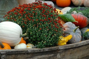 Mix Pumpkins With Other Items