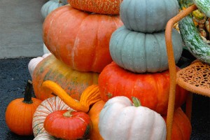 Mix Up Your Pumpkin Colors
