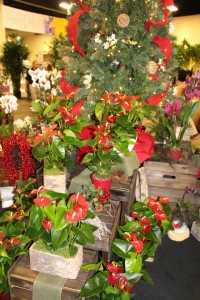 Tip 9: Mix tropical plants with holiday dispalys