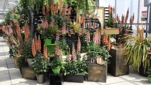 Break The Plant Bench Mold — 10 Easy Ways To Improve Your Vertical Merchandising
