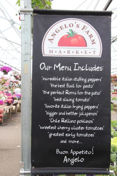 There's some great plants on for dinner!