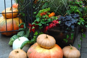 Practical Pumpkin Display