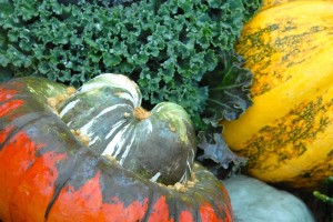 Pumpkins, Gourds And Kale