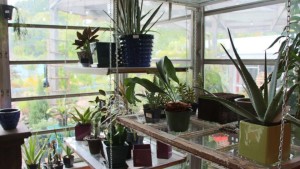 The Top 6 Merchandising Stories Of 2015